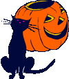 Cat & Pumpkin